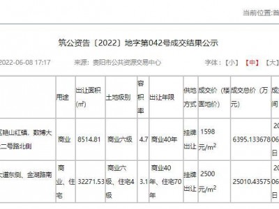 贵州中房金石房地产开发有限公司以25010.43575万元竞得